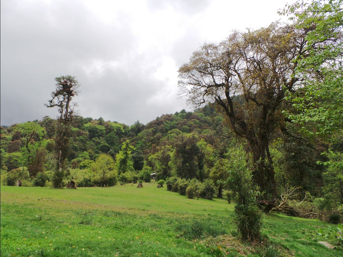 The Royal Botanical Park18